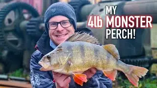 4lb UK RIVER PERCH! | He didn't even want to go fishing that day!