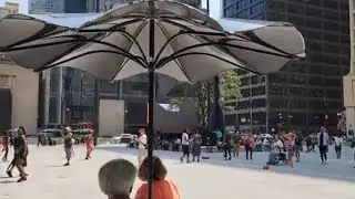 THE DALEY CENTER: DAILY DANCE ACTIVITIES CHICAGO IL USA