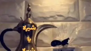 خبيتي _ ( شيرلا  يا  شيرلا )