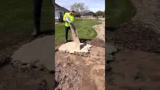 Hex Plugs to Fill in Lawn Mud Hole