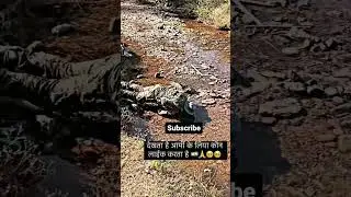 Indian army ⟬⟭💜 drink water in river #indianarmy #trending #viral #ytshorts #indian