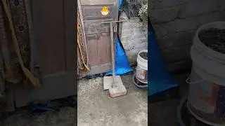 murgi ke bacche chicks videos poultry farming home#chicken#birds#chicks#shorts