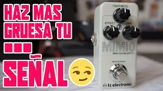 El pedal que engrosa tu sonido ☄️ MIMIQ mini TC Electronic Review | Richo Bermu | Drum Shop