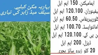 Romi Agri Tv]How to make a self-made poison for Baharia Corn.Use Zero Size Bajri.