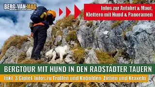 Bergtour zum Draugstein im Großarltal mit Hund