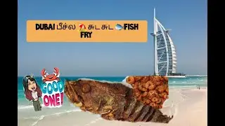 BU QTAIR RESTAURANT JUMEIRAH | DUBAI  பீச்ல ⛱️🌅 சுட சுட FRESH FISH FRY 🍴🍲🦐🍤🐟🐠