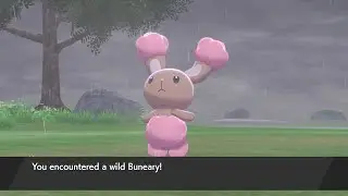 Wild Shiny Buneary! (Pok&eacute;mon Sword/Shield) (653 Encounters)