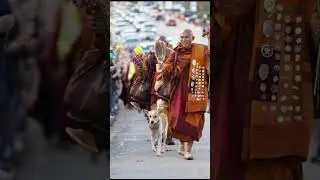Monks in Columbia SC
