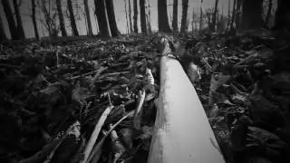 SETHNEFER AngerEgoPower original Video FullHD