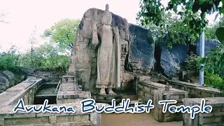 Avukana Buddha Statue