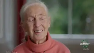 Chimp Haven in Jane Goodall: The Hope