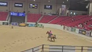 The moment we learned Tallyn can ride anything!