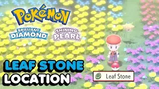 Leaf Stone Location In Pokemon Brilliant Diamond & Pokemon Shining Pearl