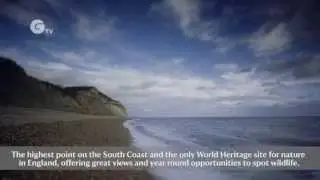 Celebrating 50 years of Coastline Conservation