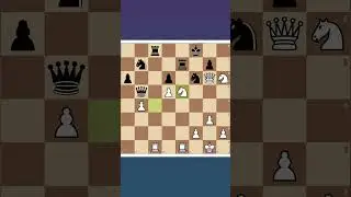 Queen Sacrifice 💥 Two Knights Checkmate | Brutal Tactical Finish #chess #rook #chessequipment #games