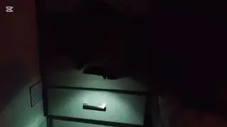Under the bed (horror short films)