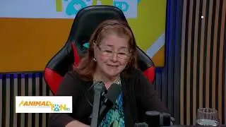 Consejos del Coach Adri&aacute;n Porras para Educar Mascotas