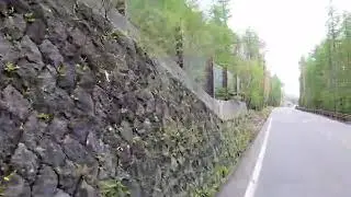 Flaske magtfulde afgr&oslash;de 1000945