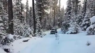 Черная грива. Ноябрь(2)
