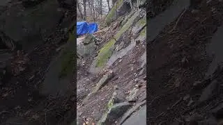Safety first.  Be careful. Cutting tree. BC 2024.1.26