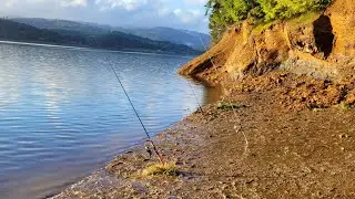 TROUT FISHING at HAGG LAKE! *CATCH N' COOK*