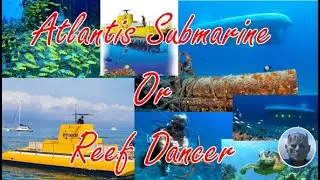 Atlantis Submarine vs Reef Dancer Maui #Maui#Atlantis#Reefdancer