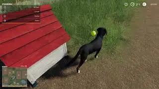 Mein neuer Hund-Landwirtschafts Simulator 19