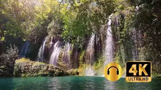 🌊✨4K Waterfall Ambiance & Live Smooth Ambient Set - Aes Dana. Perfect for Studying and Relaxing.