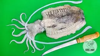 CUTTLEFISH: How to clean and prepare || Quick and Easy