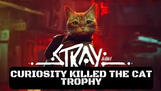 Stray Curiosity Killed the Cat Trophy
