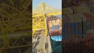 #jabalali port  #container #dubai #dubailife #dpworld