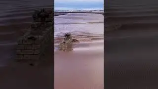 Tidal bore March 24, 2023 #newbrunswick #tidalbore #nature