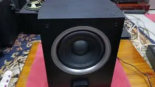 Sub Paradim 8 V4 bass 20 đ&aacute;nh cực gấu điện 230v gi&aacute; tốt trong video ạ đt 0979695841 Zalo 0342501634 