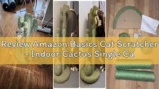 Review Amazon Basics Cat Scratcher - Indoor Cactus Single Cat & Kittens Scratching Post with Danglin