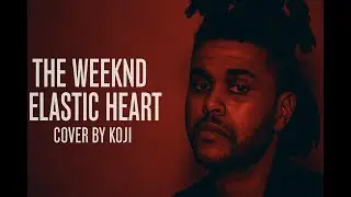 Elastic Heart (Cover)