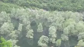 ISOLA LOPPIENSIS