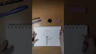 How to Draw a Rose | Easy Step-by-Step Tutorial for Kids and Beginners