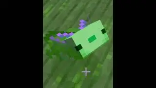 Как получить синего аксолотля | Советы по выживанию в Minecraft | #Shorts