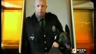 Bulletproof vests for police dogs