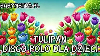 🌷🌷Tulipan - #Discopolodladzieci🌷🌷babymetka.pl #discopolo #muzyka  #babymetka #muzykadladzieci