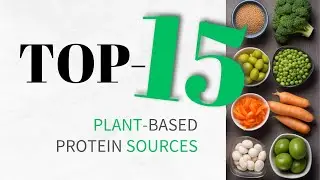 Protein on a Meatless Diet: 15 Plant Sources You Need to Know