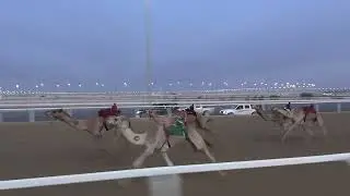 ش2 قعدان حقايق 3ك شاهين ل سعيدمسعودالرشيدي  4:40:19  25/12/2025