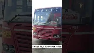 Warangal To Tirupati Bus #shorts #shortsfeed #buslover #bus #ytshorts