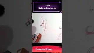 microscope drawing|#biology #ytshorts #youtubeviralshorts