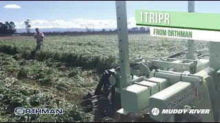 1tRIPr - ideal seedbed preparation, precision nutrient placement and optimal root zone conditioning