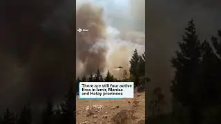 Planes and helicopters battle hundreds of wildfires in Turkey #news #shorts #fire #wildfire