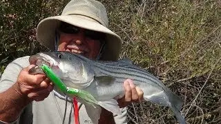 'WINTERTIME' ... TROLLING FOR DELTA STRIPER !