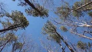 Backcountry Camping At Oak Mountain State Park Alabama (Episode 1)
