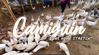 🇵🇭 The Mahals - Come again to Camiguin (Feb 2023)