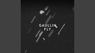 Fly